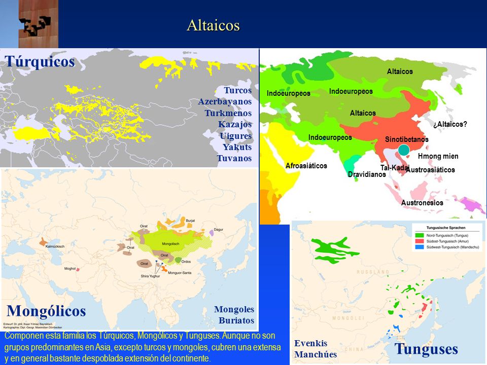 Altaicos Túrquicos Mongólicos Tunguses Turcos Azerbayanos Turkmenos