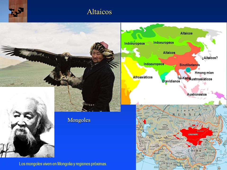 Altaicos Mongoles Los mongoles viven en Mongolia y regiones próximas.