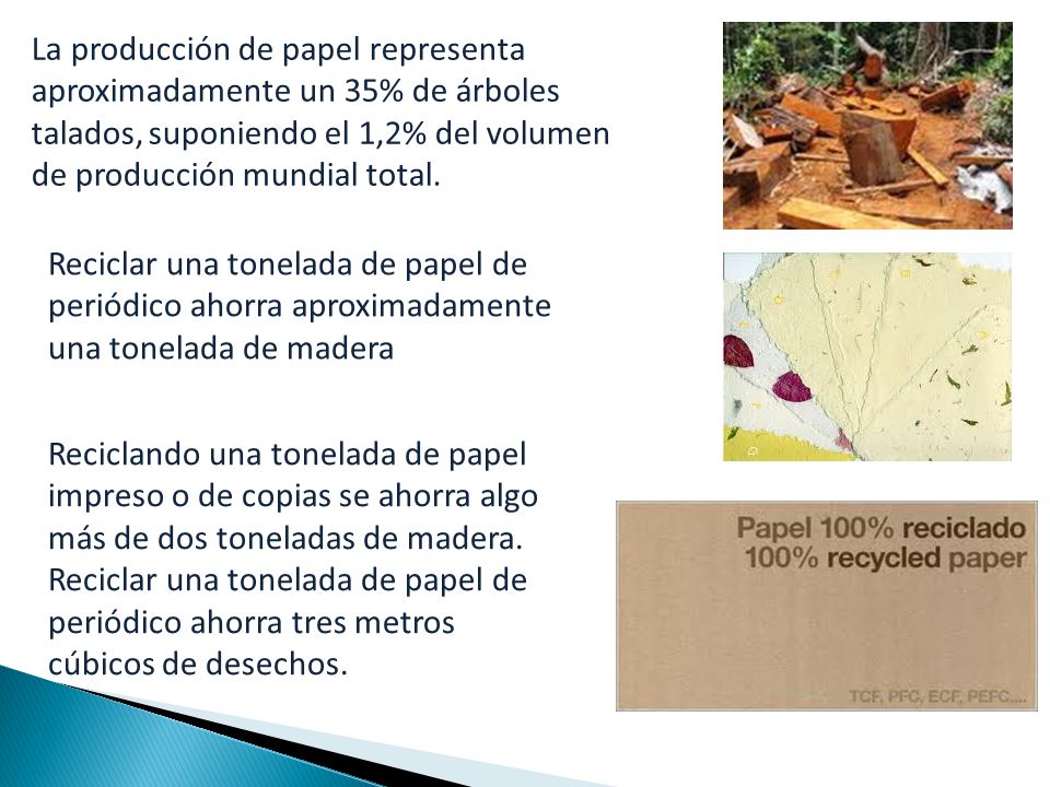 La producción de papel representa aproximadamente un 35% de árboles talados, suponiendo el 1,2% del volumen de producción mundial total.
