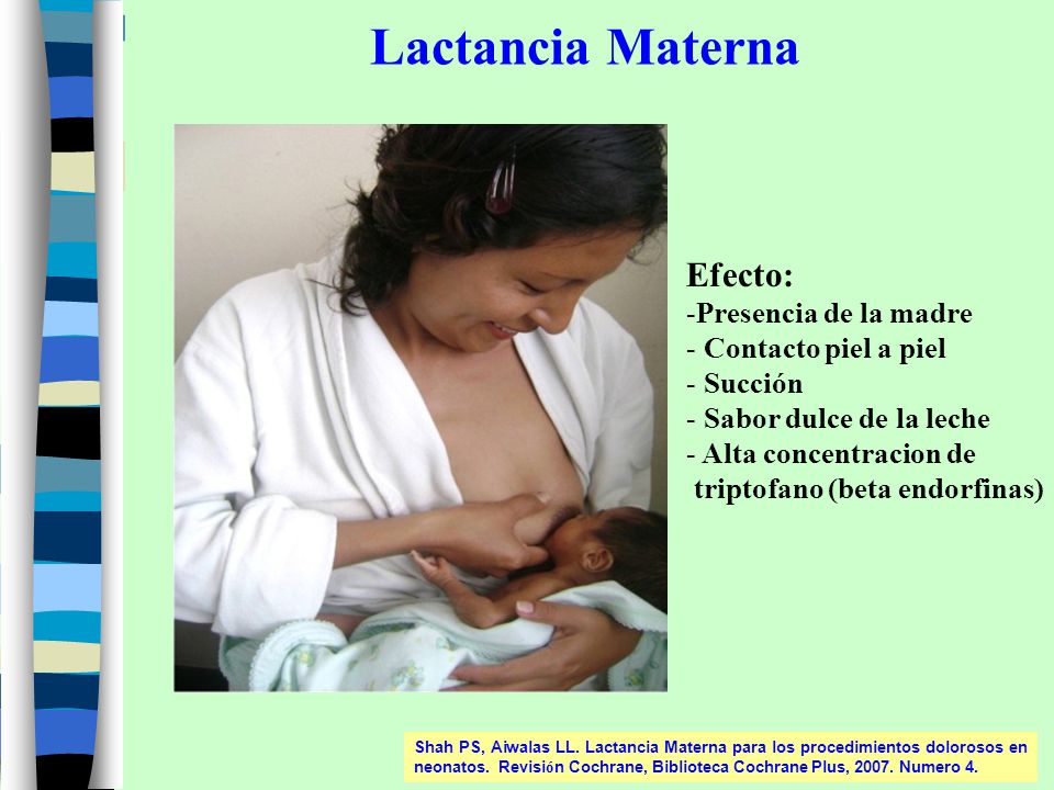 Lactancia Materna Efecto: Presencia de la madre Contacto piel a piel