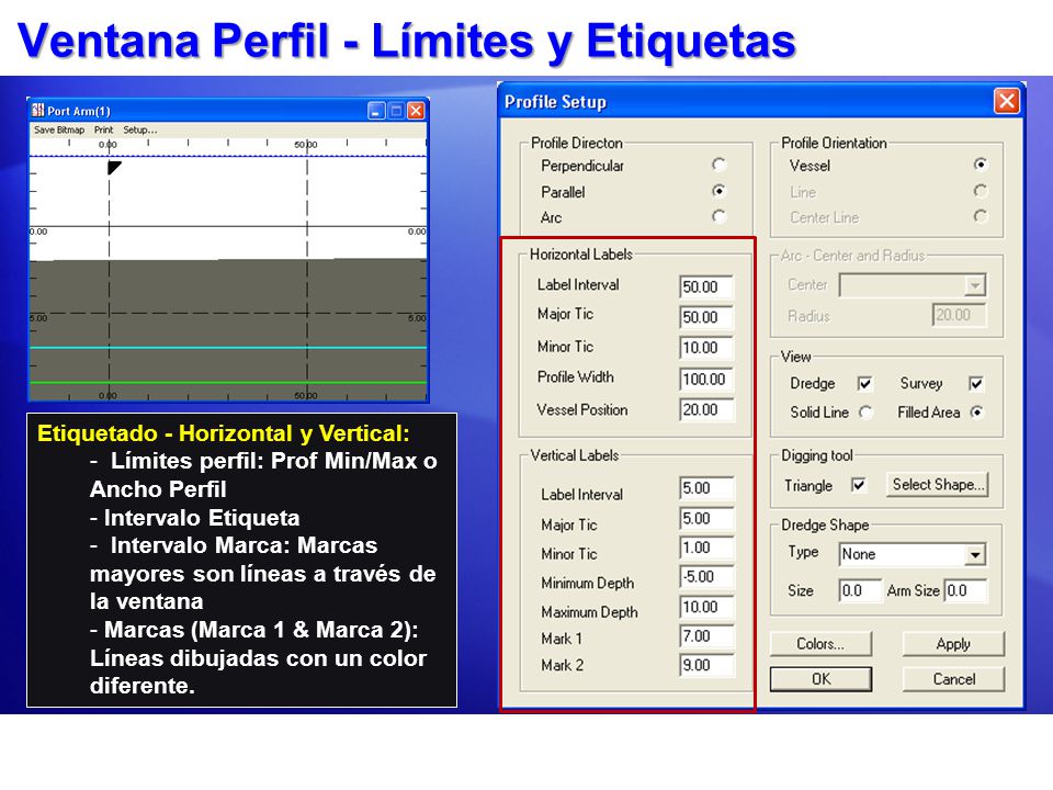 Ventana Perfil - Límites y Etiquetas