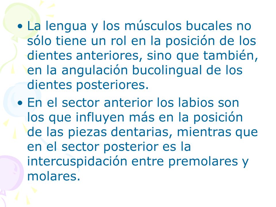 La lengua y los músculos bucales no sólo tiene un rol en la posición de los dientes anteriores, sino que también, en la angulación bucolingual de los dientes posteriores.