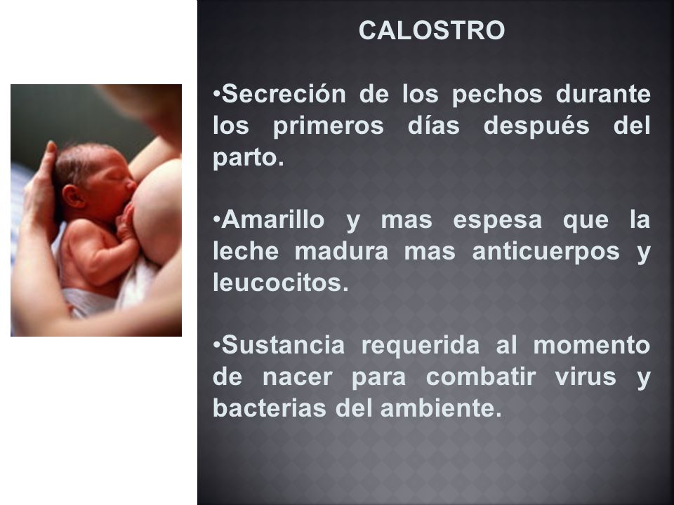 CALOSTRO Secreción de los pechos durante los primeros días después del parto.