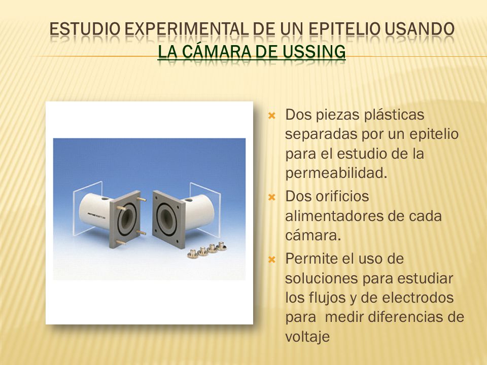 Estudio experimental de un epitelio usando la Cámara de Ussing