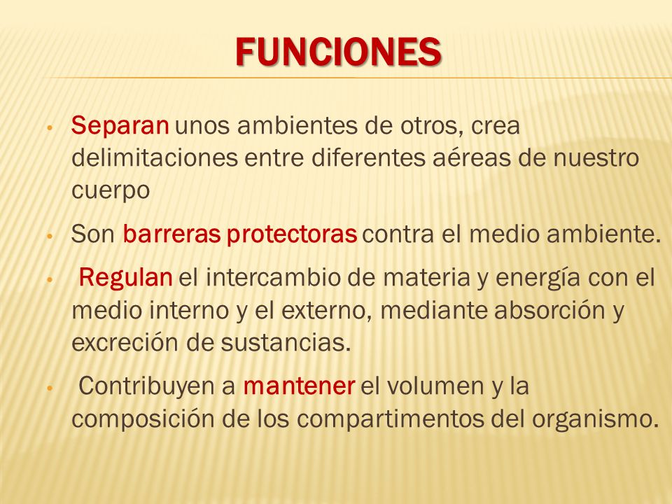 FUNCIONES Separan unos ambientes de otros, crea delimitaciones entre diferentes aéreas de nuestro cuerpo.