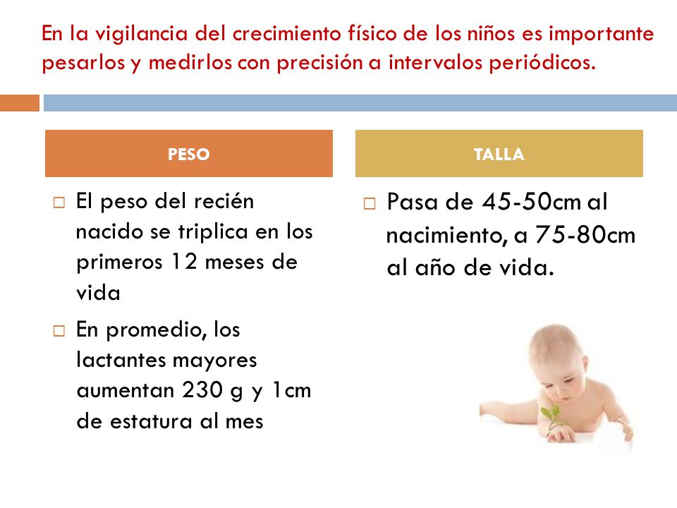 Pasa de 45-50cm al nacimiento, a 75-80cm al año de vida.