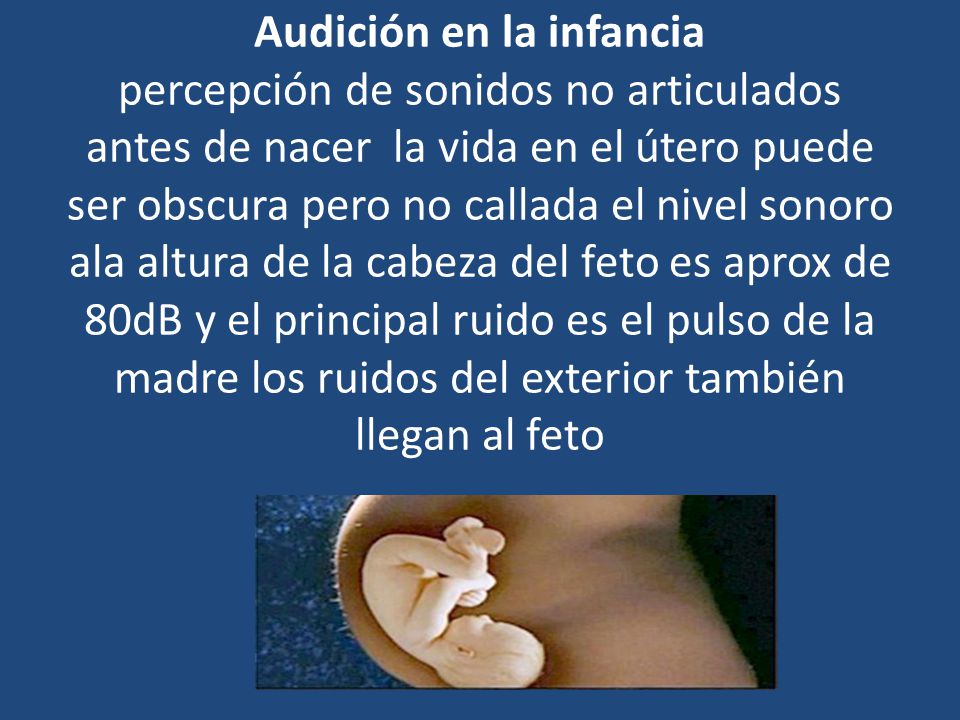Audición en la infancia percepción de sonidos no articulados antes de nacer la vida en el útero puede ser obscura pero no callada el nivel sonoro ala altura de la cabeza del feto es aprox de 80dB y el principal ruido es el pulso de la madre los ruidos del exterior también llegan al feto