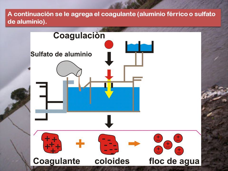 A continuación se le agrega el coagulante (aluminio férrico o sulfato de aluminio).