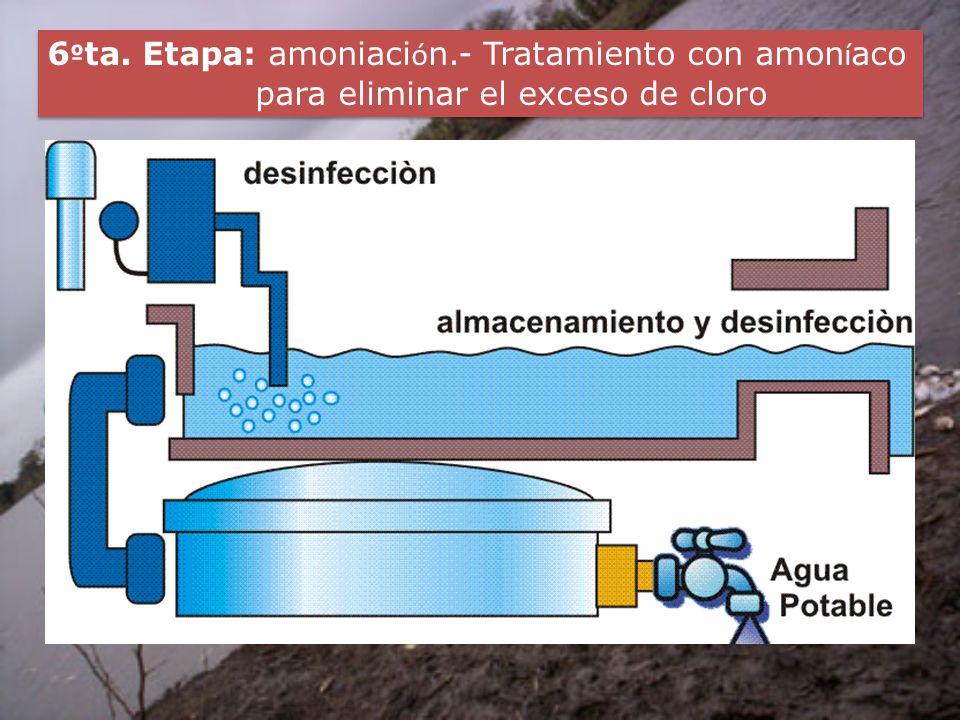 6ºta. Etapa: amoniación.- Tratamiento con amoníaco para eliminar el exceso de cloro