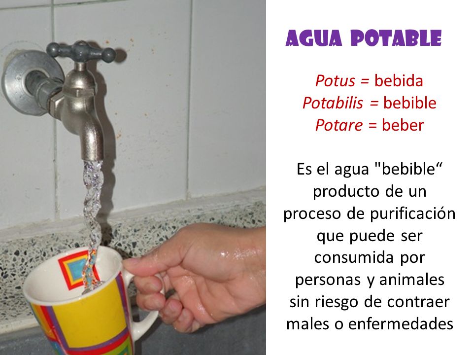 AGUA POTABLE Potus = bebida Potabilis = bebible Potare = beber