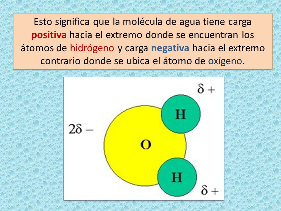 Esto significa que la molécula de agua tiene carga positiva hacia el extremo donde se encuentran los átomos de hidrógeno y carga negativa hacia el extremo contrario donde se ubica el átomo de oxígeno.