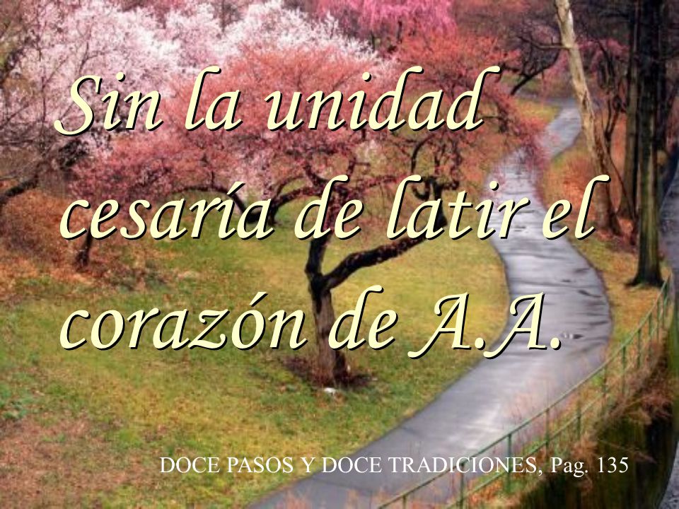 Sin la unidad cesaría de latir el corazón de A.A.