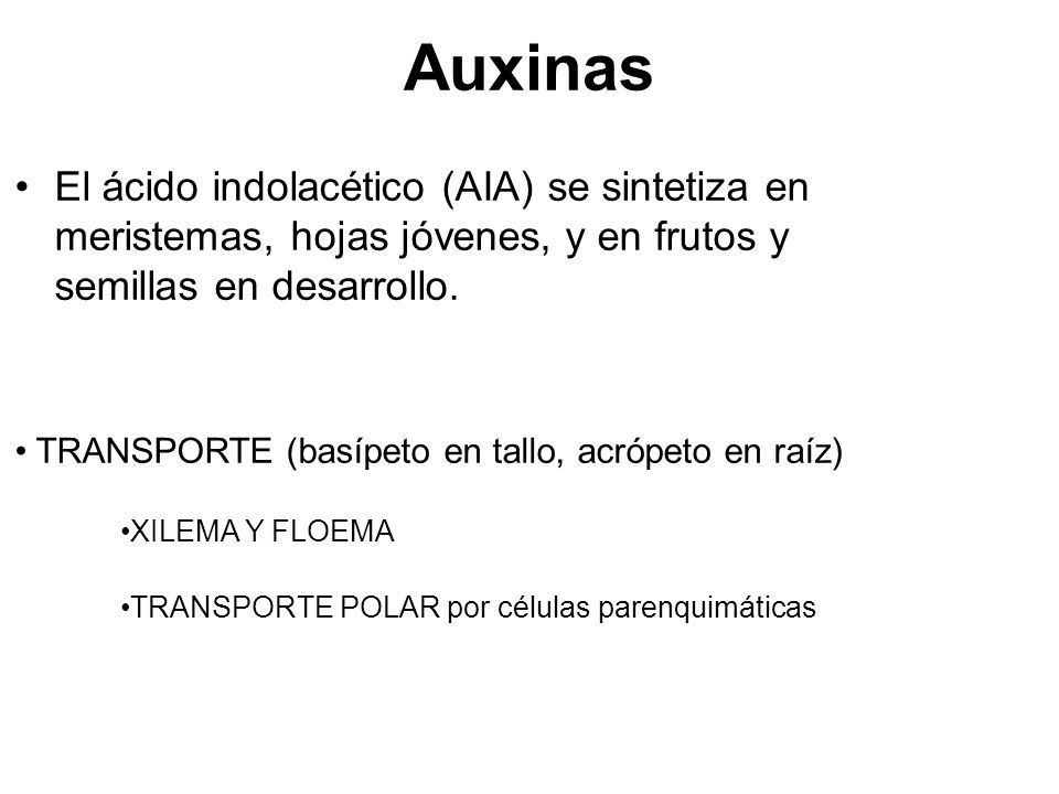 Auxinas El ácido indolacético (AIA) se sintetiza en meristemas, hojas jóvenes, y en frutos y semillas en desarrollo.