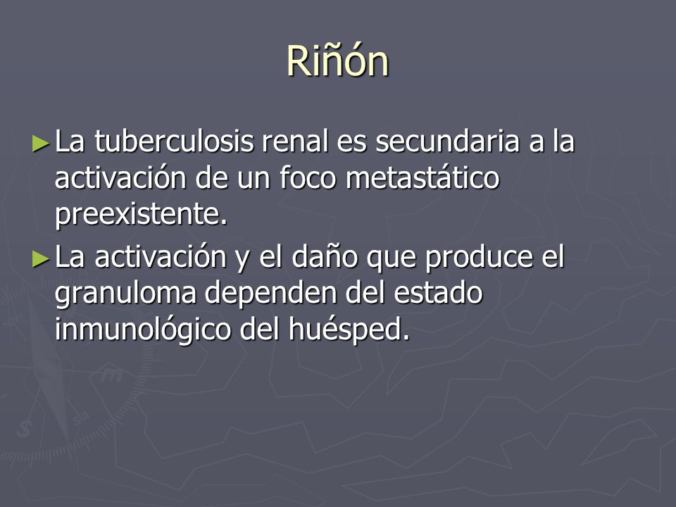 Riñón La tuberculosis renal es secundaria a la activación de un foco metastático preexistente.