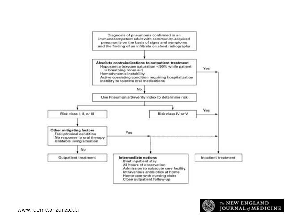 Algorithm for Determining Whether a Patient with Community-Acquired Pneumonia Should Be Admitted or Treated as an Outpatient
