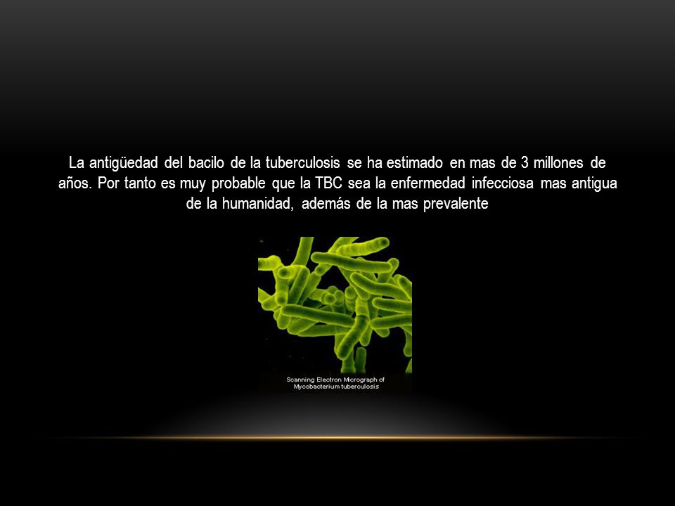La antigüedad del bacilo de la tuberculosis se ha estimado en mas de 3 millones de años.