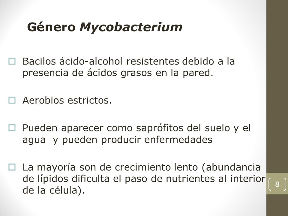 Género Mycobacterium Bacilos ácido-alcohol resistentes debido a la presencia de ácidos grasos en la pared.