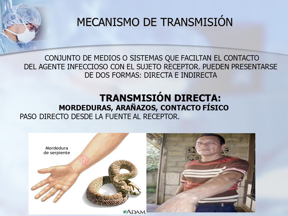 MECANISMO DE TRANSMISIÓN