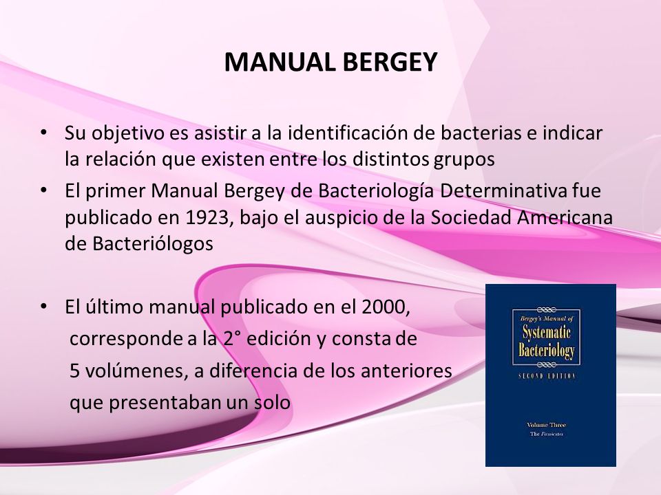 MANUAL BERGEY Su objetivo es asistir a la identificación de bacterias e indicar la relación que existen entre los distintos grupos.