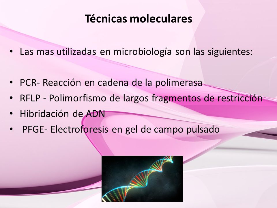 Técnicas moleculares Las mas utilizadas en microbiología son las siguientes: PCR- Reacción en cadena de la polimerasa.
