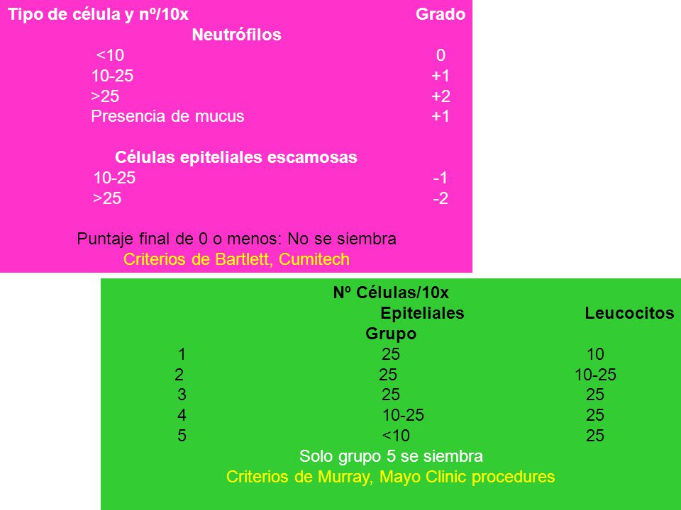 Tipo de célula y nº/10x Grado Neutrófilos < >25 +2