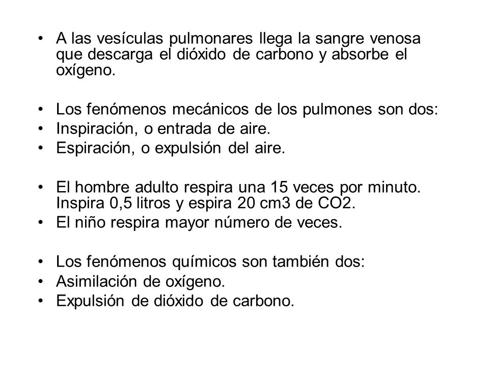 A las vesículas pulmonares llega la sangre venosa que descarga el dióxido de carbono y absorbe el oxígeno.