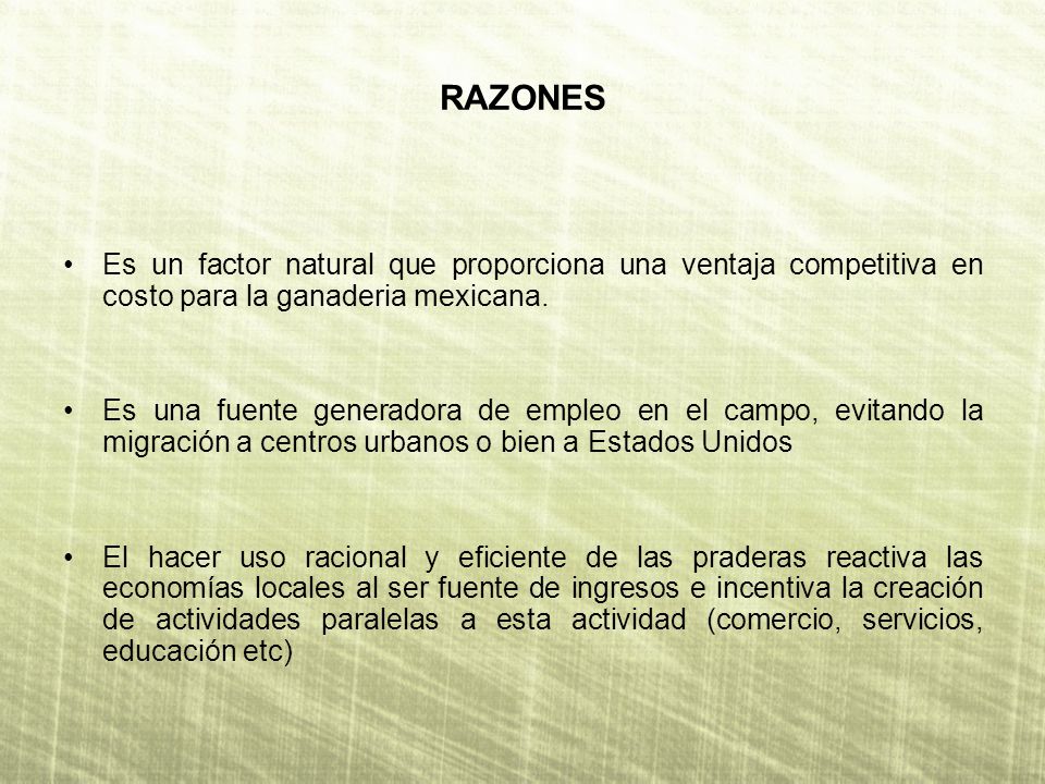 RAZONES Es un factor natural que proporciona una ventaja competitiva en costo para la ganaderia mexicana.