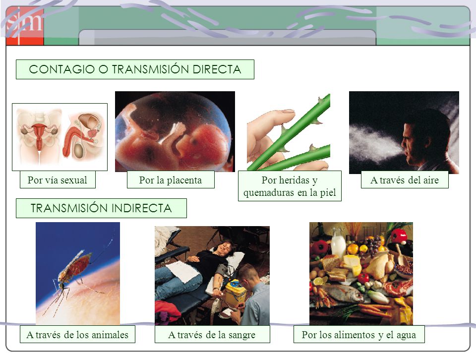 CONTAGIO O TRANSMISIÓN DIRECTA