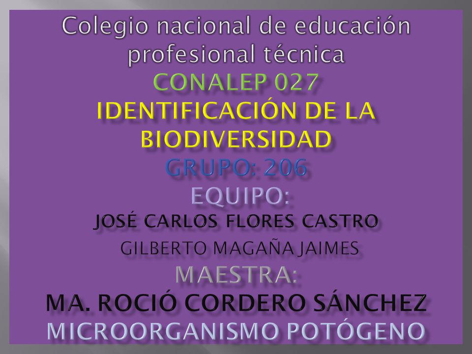 Colegio nacional de educación profesional técnica conalep 027 identificación de la biodiversidad Grupo: 206 equipo: José Carlos flores castro Gilberto magaña jaimes Maestra: ma.