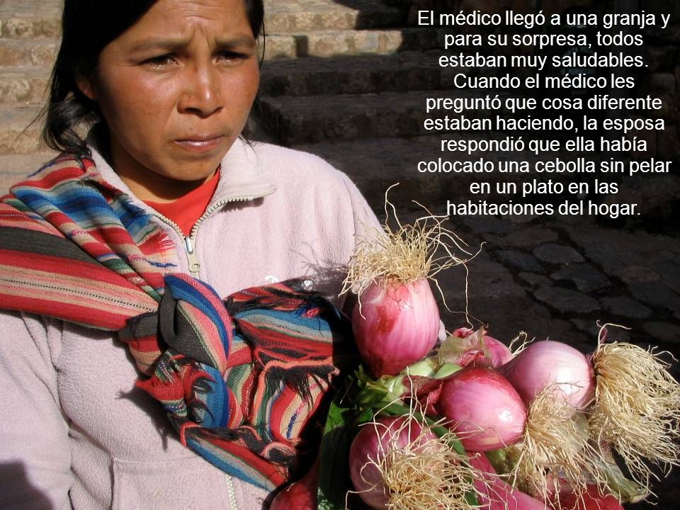 El médico llegó a una granja y para su sorpresa, todos estaban muy saludables.
