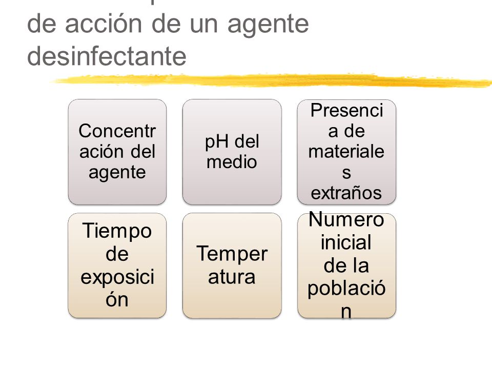 Factores que afectan la cinética de acción de un agente desinfectante