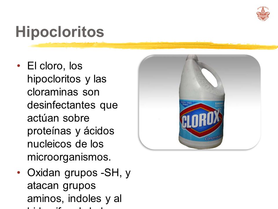 Hipocloritos El cloro, los hipocloritos y las cloraminas son desinfectantes que actúan sobre proteínas y ácidos nucleicos de los microorganismos.