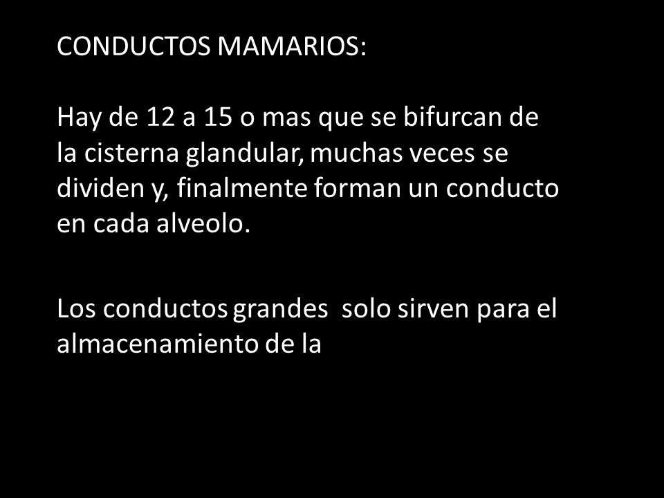CONDUCTOS MAMARIOS: Hay de 12 a 15 o mas que se bifurcan de la cisterna glandular, muchas veces se dividen y, finalmente forman un conducto en cada alveolo.