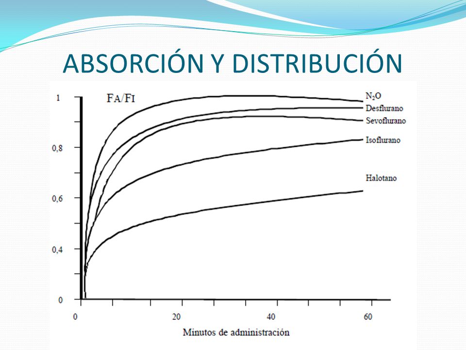 ABSORCIÓN Y DISTRIBUCIÓN