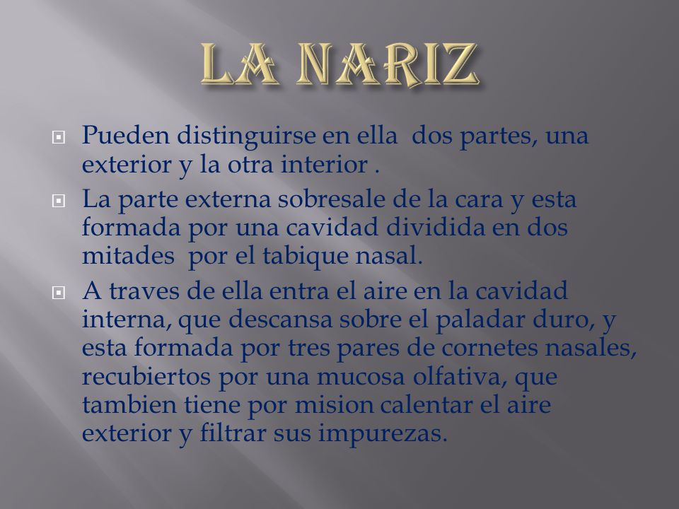 LA NARIZ Pueden distinguirse en ella dos partes, una exterior y la otra interior .