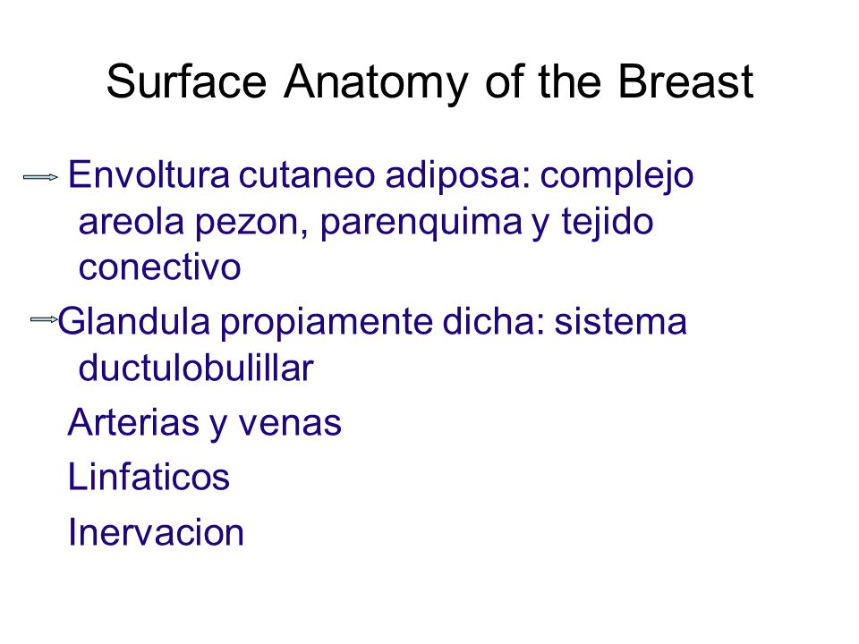 Surface Anatomy of the Breast