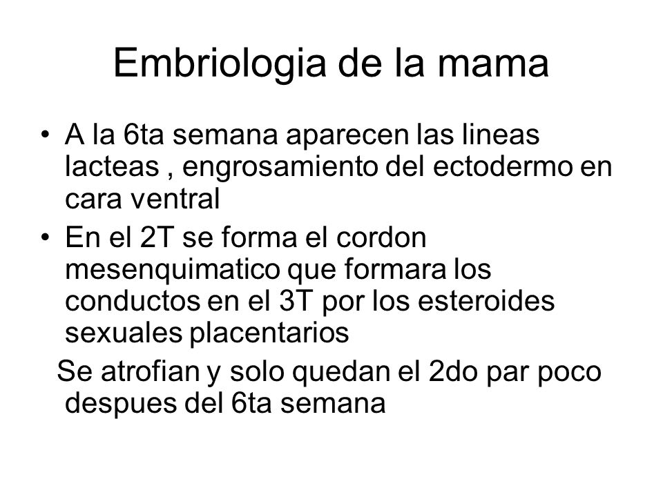 Embriologia de la mama A la 6ta semana aparecen las lineas lacteas , engrosamiento del ectodermo en cara ventral.
