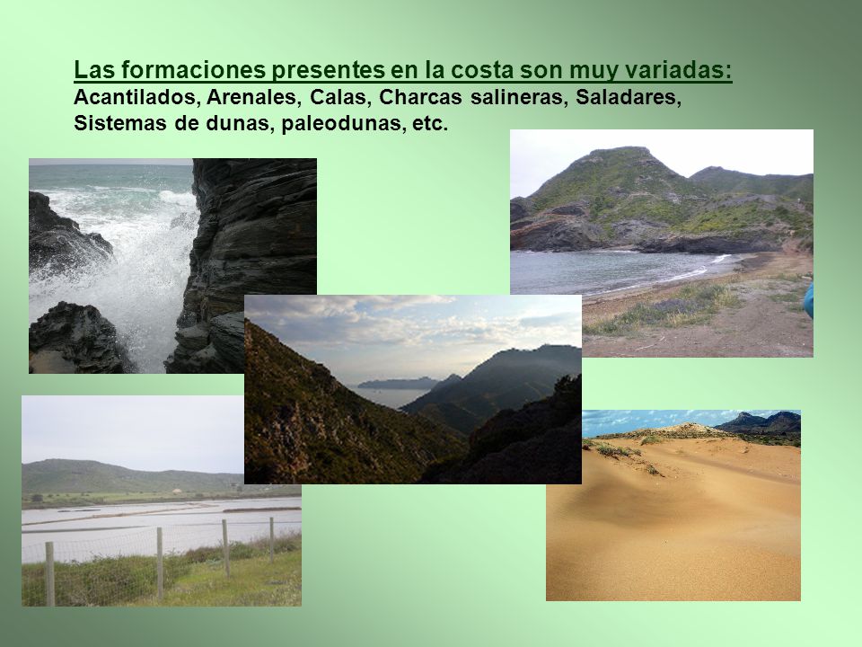 Las formaciones presentes en la costa son muy variadas: Acantilados, Arenales, Calas, Charcas salineras, Saladares,
