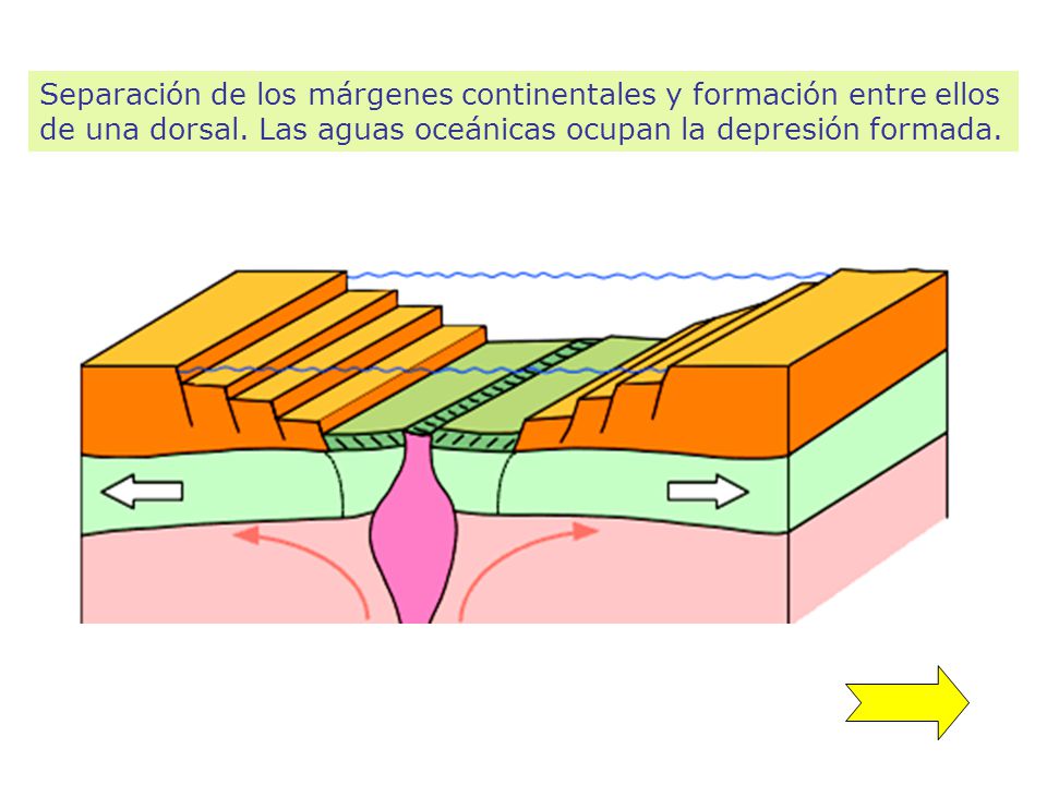 Separación de los márgenes continentales y formación entre ellos de una dorsal.