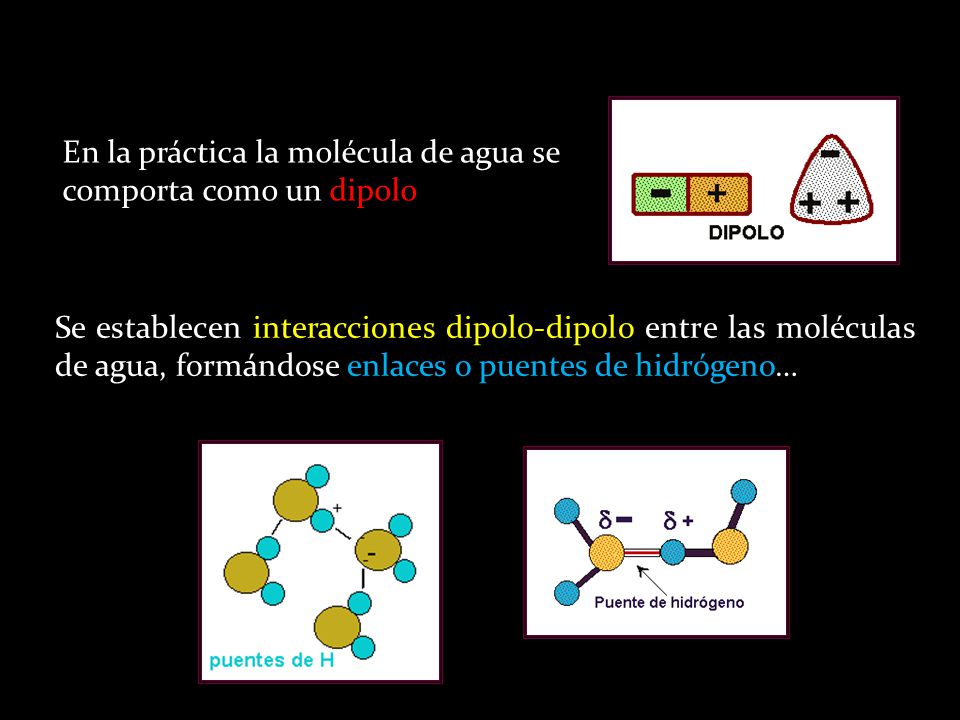 En la práctica la molécula de agua se comporta como un dipolo