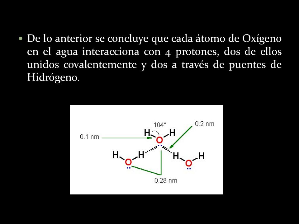 De lo anterior se concluye que cada átomo de Oxígeno en el agua interacciona con 4 protones, dos de ellos unidos covalentemente y dos a través de puentes de Hidrógeno.