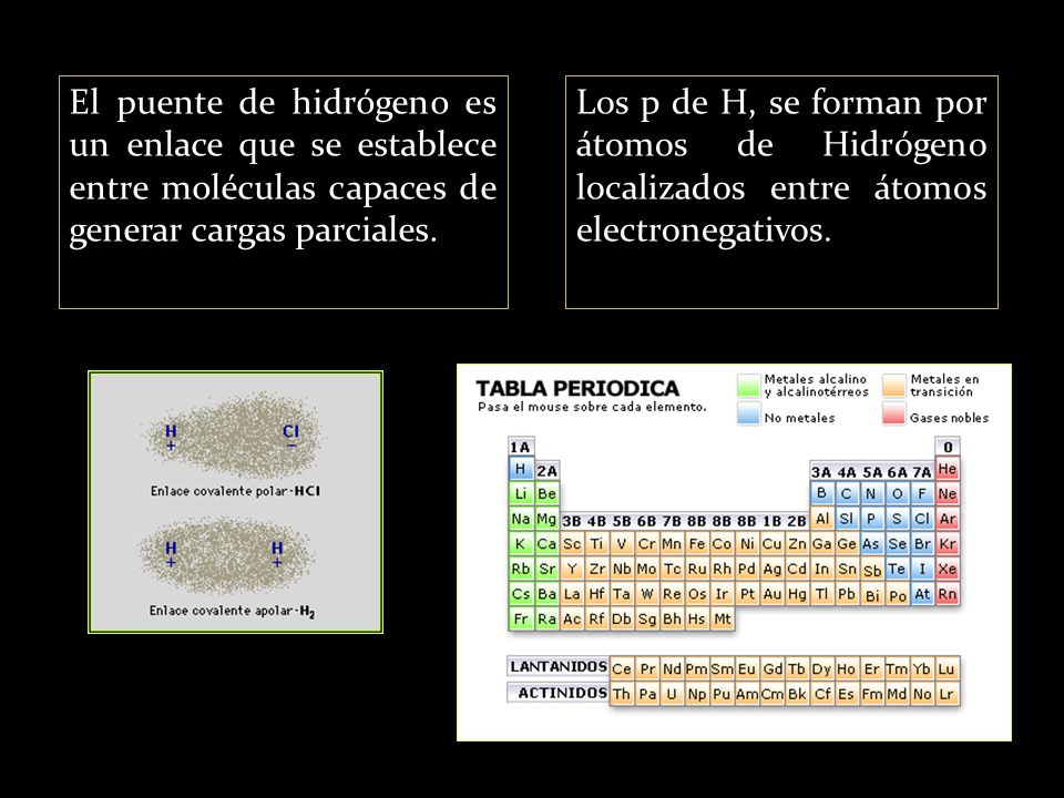 El puente de hidrógeno es un enlace que se establece entre moléculas capaces de generar cargas parciales.
