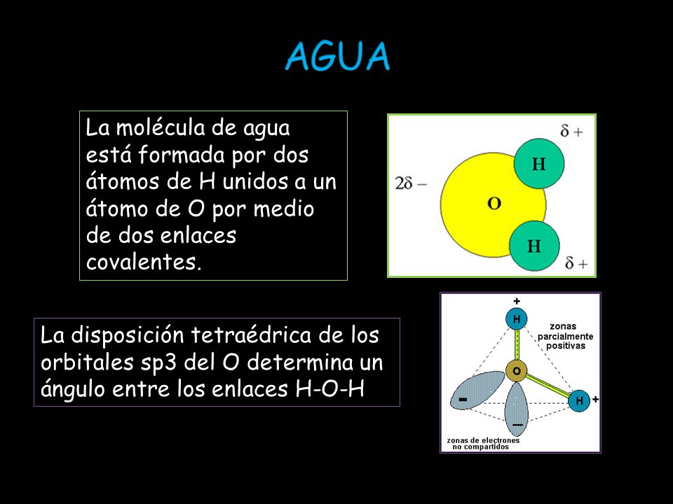 AGUA La molécula de agua está formada por dos átomos de H unidos a un átomo de O por medio de dos enlaces covalentes.