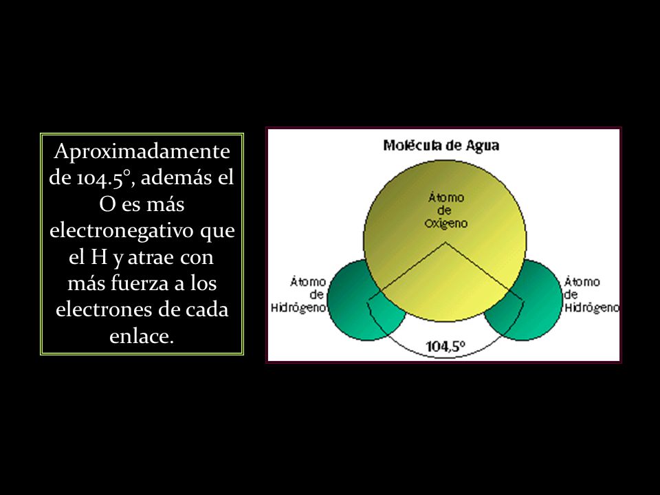 Aproximadamente de 104.5°, además el O es más electronegativo que el H y atrae con más fuerza a los electrones de cada enlace.
