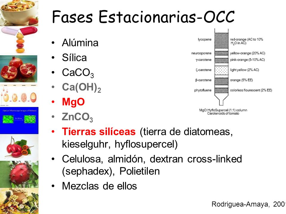 Fases Estacionarias-OCC