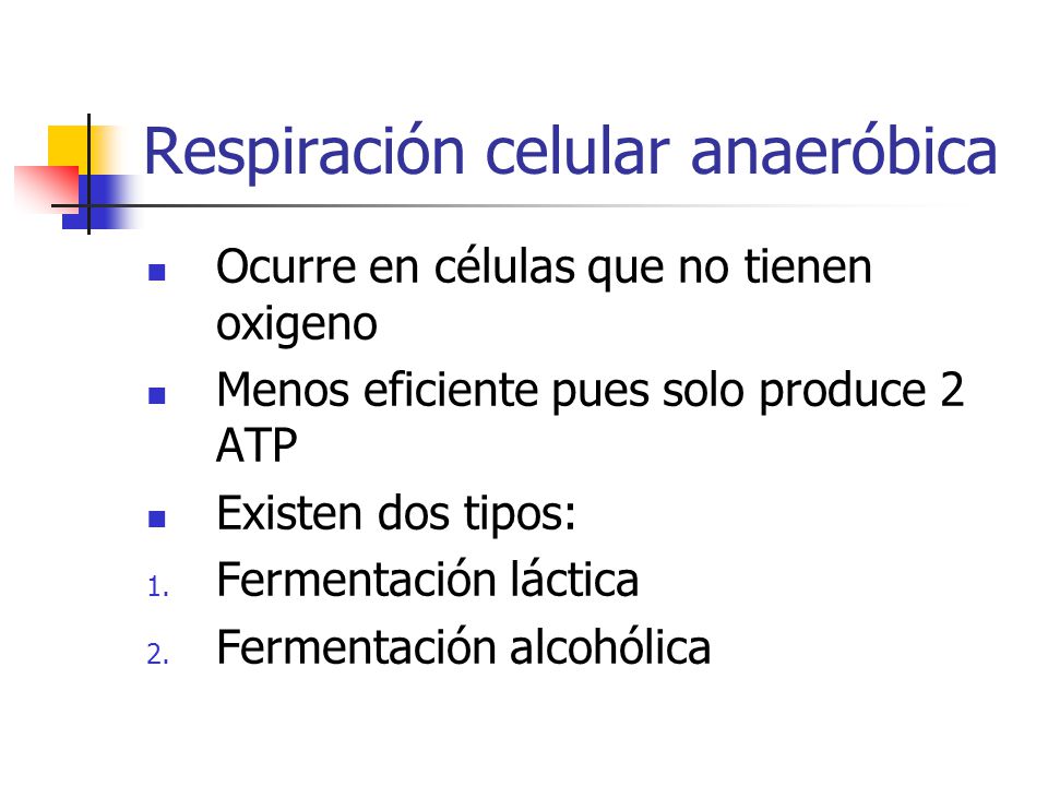 Respiración celular anaeróbica