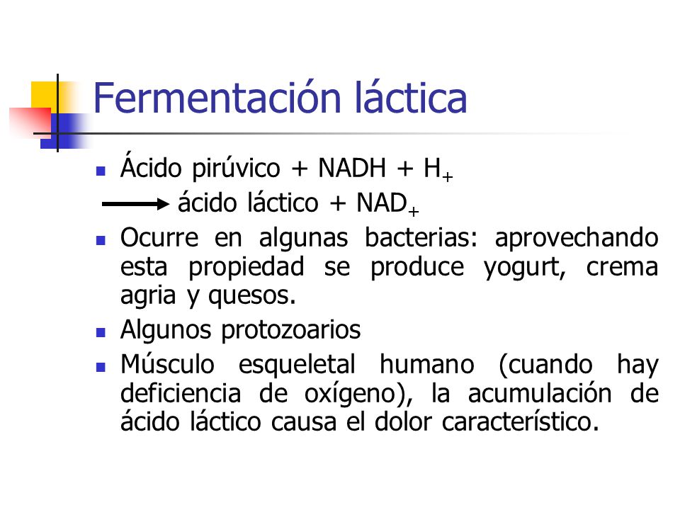 Fermentación láctica Ácido pirúvico + NADH + H+ ácido láctico + NAD+