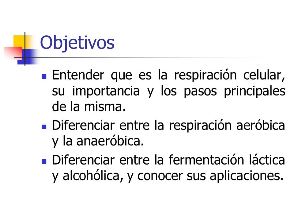 Objetivos Entender que es la respiración celular, su importancia y los pasos principales de la misma.