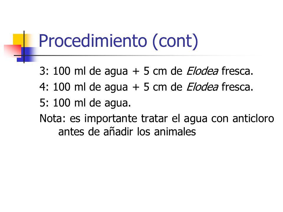 Procedimiento (cont) 3: 100 ml de agua + 5 cm de Elodea fresca.