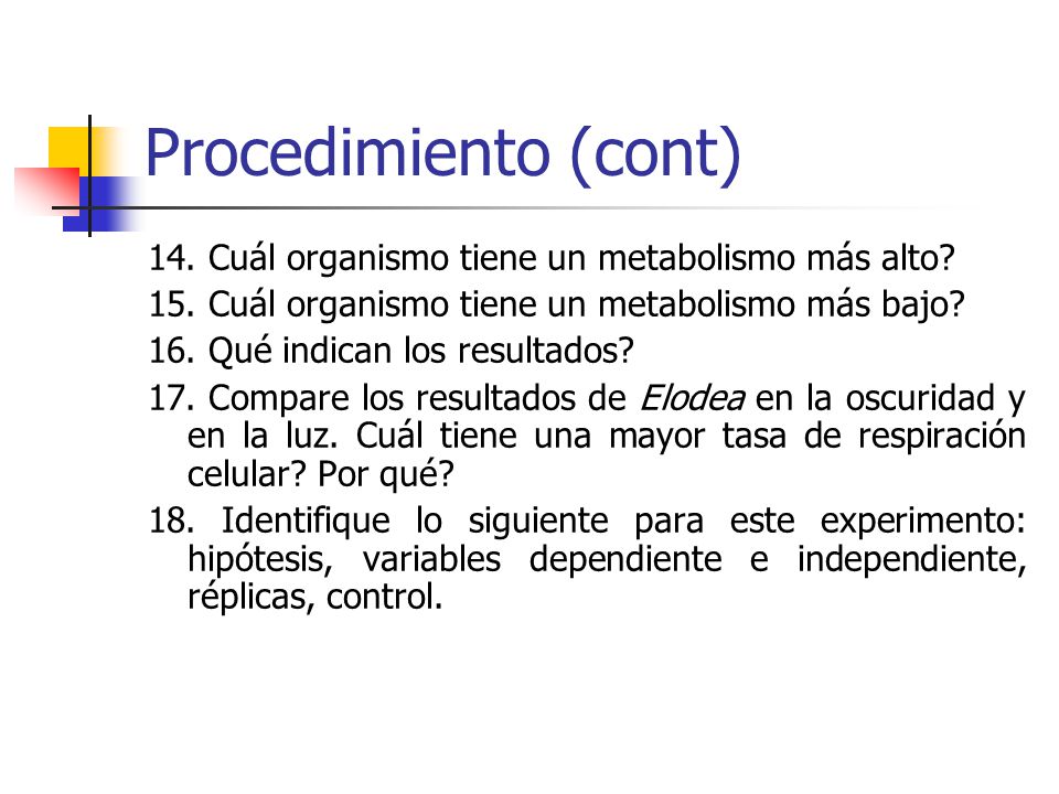 Procedimiento (cont) 14. Cuál organismo tiene un metabolismo más alto